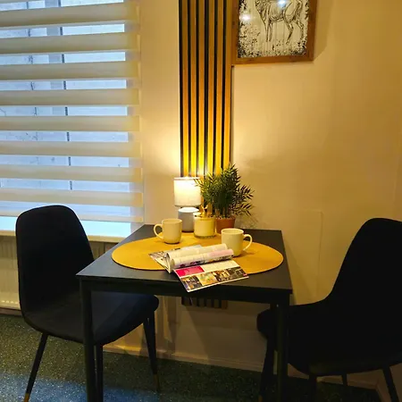 公寓 Heart Of Old 3 Bedroom By Dome Square 里加